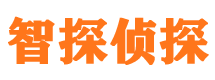 平川智探私家侦探公司